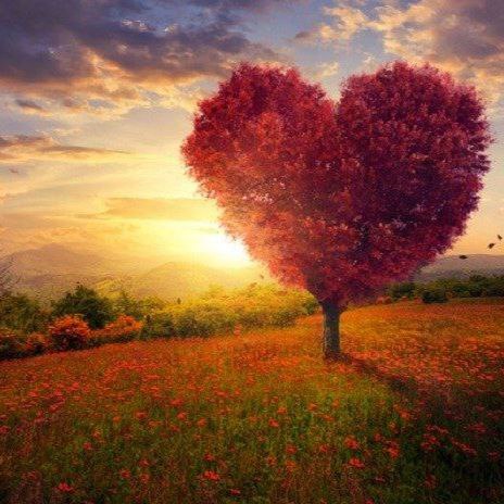 آهنگ جدید  هم اتاقی نسخه ژاپنی ترند